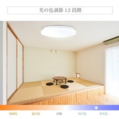 14畳用シーリングライトの画像