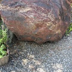 庭石全ての画像