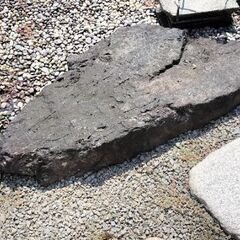 庭石全ての画像
