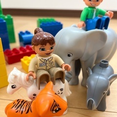 ぞうさんのバケツの画像