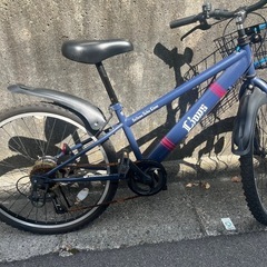 子ども用西武ライオンズ自転車　の画像