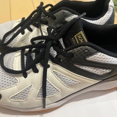 体育館シューズ　室内　運動　スポーツ　26cm
の画像