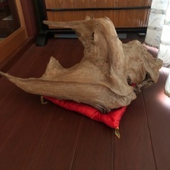 置物、インテリア、流木？の画像