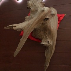 置物、インテリア、流木？の画像