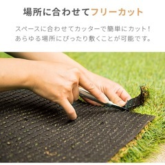リアル人工芝　の画像