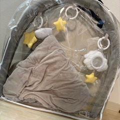 プレイジムおまけ付き⭐︎の画像