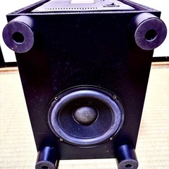 Pioneer S-21Ｗの画像