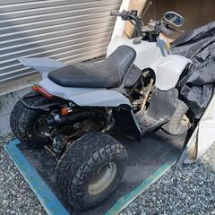 鹿児島希少！バギー125ccの画像