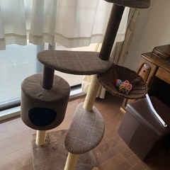 キャットタワーの画像