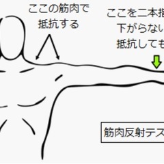 筋肉反射を体験しよう！