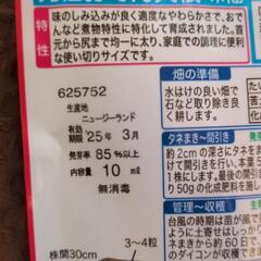 おでん大根の種　　の画像