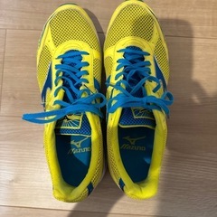 MIZUNO製ランニングシューズの画像