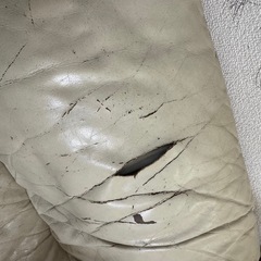 大塚家具オースチン ソファーの画像
