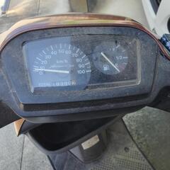 スズキの画像