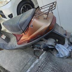 スズキの画像