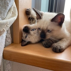 素敵な家族が見つかりました😊👪