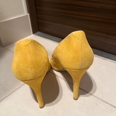 ダイアナパンプスの画像
