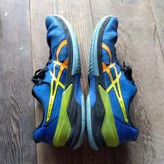 バレーボールシューズ　asicsの画像