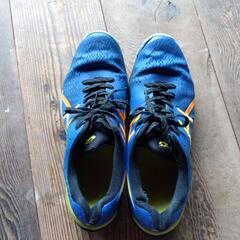 バレーボールシューズ　asicsの画像