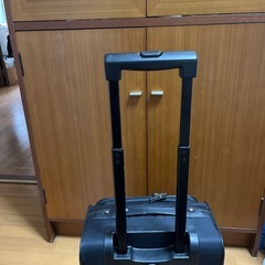 キャリーバックの画像