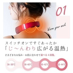 ラルーナ ネックケアの画像