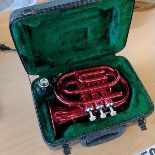 0907-203 Kaerntner KTR-33P ポケットトランペット