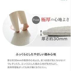 ニトリ　30mmウレタン綿入り　洗えるラグの画像