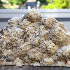 この商品も注目されています 原石 アメジスト ウルグアイ産 紫水晶 アメシスト 水晶 クォーツ クラスター 鉱物 鉱石 天然石 飾り石 鑑賞石 パワーストーン 標本  原石 アメジスト ウルグアイ産 紫水晶 アメシスト 水晶 クォーツ クラスター 鉱物 鉱石 天然石 飾り石 鑑賞石 パワーストーン 標本  現在 1,000円  原石 方鉛鉱 ブルガリア産 ガレーナ ガレナ 鉱物 鉱石 天然石 飾り石 鑑賞石 パワーストーン 標本  原石 方鉛鉱 ブルガリア産 ガレーナ ガレナ 鉱物 鉱石 天然石 飾り石 の画像