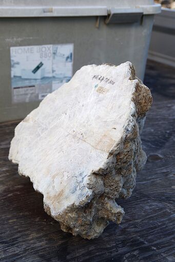 この商品も注目されています 原石 アメジスト ウルグアイ産 紫水晶 アメシスト 水晶 クォーツ クラスター 鉱物 鉱石 天然石 飾り石 鑑賞石 パワーストーン 標本  原石 アメジスト ウルグアイ産 紫水晶 アメシスト 水晶 クォーツ クラスター 鉱物 鉱石 天然石 飾り石 鑑賞石 パワーストーン 標本  現在 1,000円  原石 方鉛鉱 ブルガリア産 ガレーナ ガレナ 鉱物 鉱石 天然石 飾り石 鑑賞石 パワーストーン 標本  原石 方鉛鉱 ブルガリア産 ガレーナ ガレナ 鉱物 鉱石 天然石 飾り石