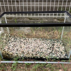 金魚を飼ってた60ℓ水槽の画像