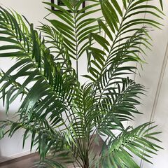 人工観葉植物 フェイクグリーン 観葉植物 造花 光触媒 消臭 大型 DXアレカパーム 190cm アレカヤシ 白鉢（陶器製）の画像