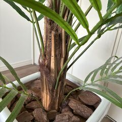 人工観葉植物 フェイクグリーン 観葉植物 造花 光触媒 消臭 大型 DXアレカパーム 190cm アレカヤシ 白鉢（陶器製）の画像