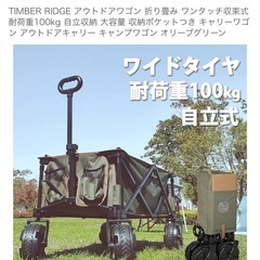 ＴＩMＢＥＲ　ＲＩＤＧＥアウトドアワゴンの画像