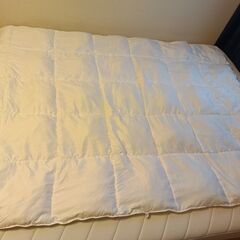 ニトリ ホテルスタイル 布団 シングルサイズ、さよならセールの画像
