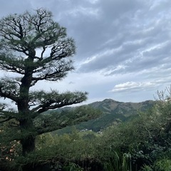 お庭の困り事はございませんか？