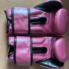 【18日まで】美品❗REYESボクシンググローブ マジックテーの画像