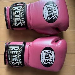 【18日まで】美品❗REYESボクシンググローブ マジックテーの画像