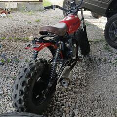 HONDAエイプ50の画像