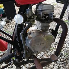 HONDAエイプ50の画像