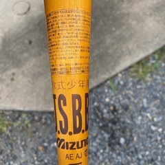 ミズノ　ブイコングジュニア　
の画像