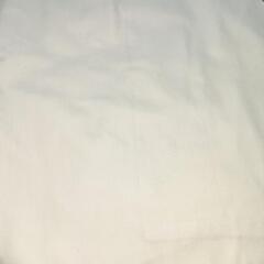 学生服ワイシャツの画像
