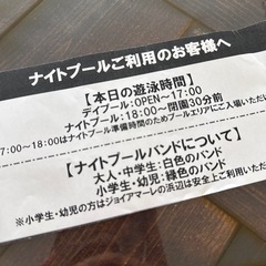 ラグーナ ナイトプールの画像