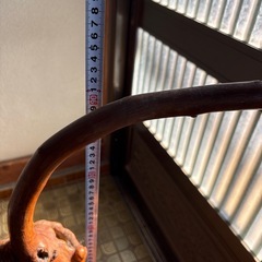 木の根の画像