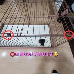 リッチェル お掃除簡単ペットケージ 1200の画像