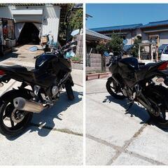 CB250F 近隣無料配送の画像