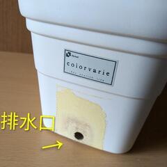 プランター&トレーの画像