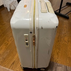 スーツケース 白 機内持ち込みサイズ TSAロック 番号式ロック有　ACE PUJOLSの画像