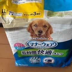 マナーウェアー　の画像