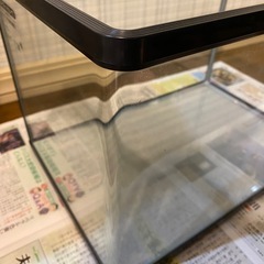 水槽　45×30×30の画像