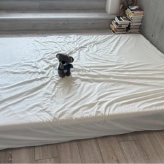 koala mattress (double)の画像